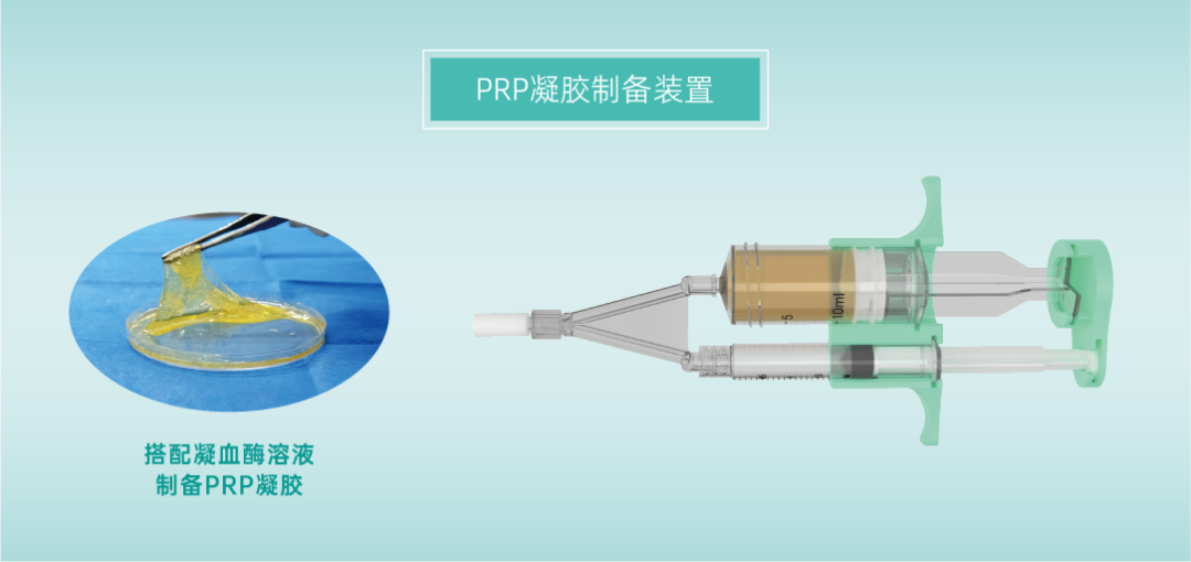 画板 2 副本@2x1.png