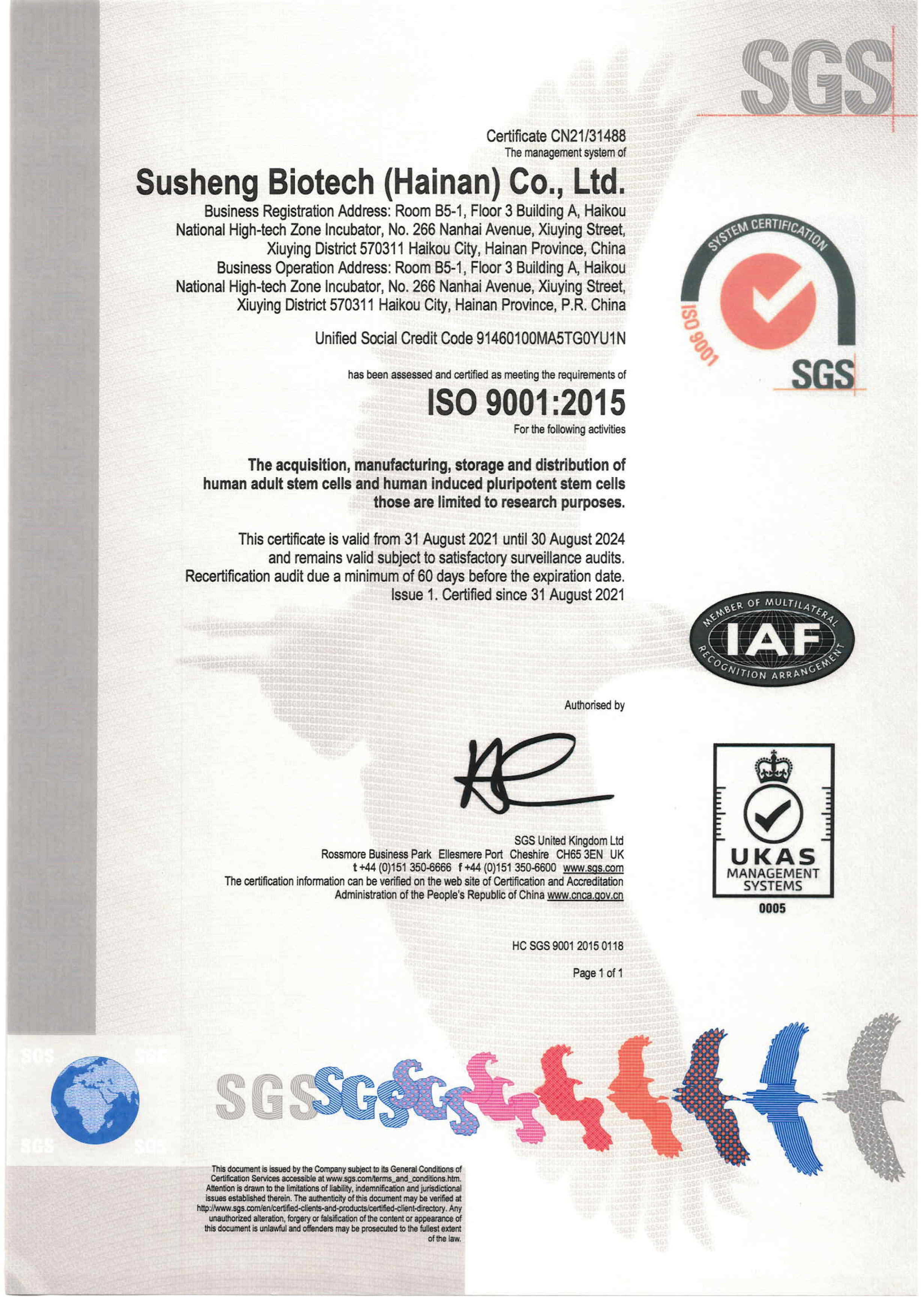 ISO9001英文版.jpg